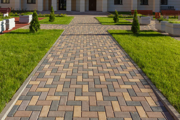 Best Driveway Paver Repair  in Bushland, TX